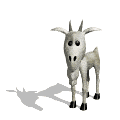 animated-goat-image-0052
