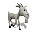 animated-goat-image-0054