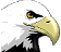 animated-eagle-image-0005