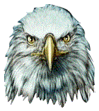 animated-eagle-image-0046
