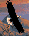 animated-eagle-image-0090