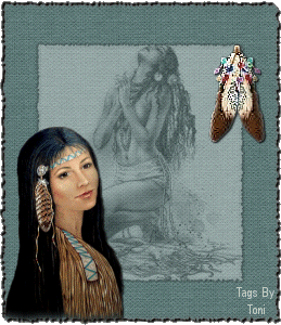animated-indian-and-redskin-image-0186