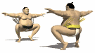 animated-sumo-image-0036