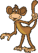 animated-chimp-image-0065