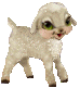 animated-sheep-image-0018