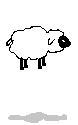 animated-sheep-image-0025