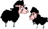 animated-sheep-image-0035