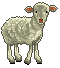 animated-sheep-image-0071