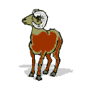 animated-sheep-image-0093