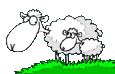 animated-sheep-image-0105