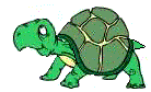 animated-turtle-image-0018
