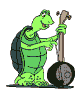 animated-turtle-image-0035