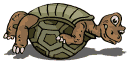 animated-turtle-image-0037