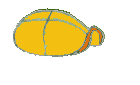 animated-turtle-image-0129