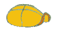 animated-turtle-image-0129