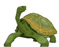 animated-turtle-image-0135