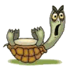 animated-turtle-image-0142
