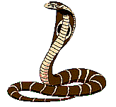 animated-snake-image-0008