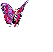animated-butterfly-image-0011