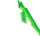 animated-butterfly-image-0034