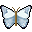 animated-butterfly-image-0108