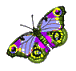 animated-butterfly-image-0153