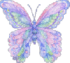 animated-butterfly-image-0202