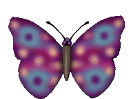 animated-butterfly-image-0293