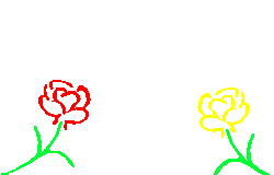 animated-butterfly-image-0312