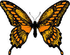 animated-butterfly-image-0321