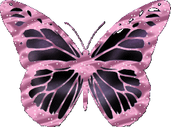animated-butterfly-image-0330