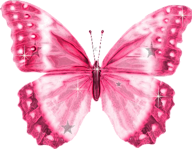 animated-butterfly-image-0399
