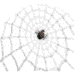 animated-spider-image-0002