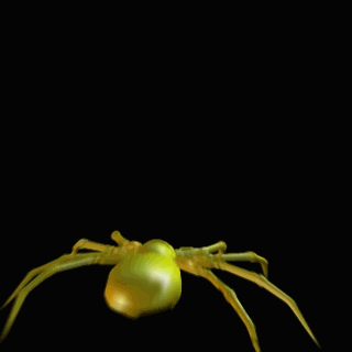 animated-spider-image-0037