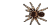 animated-spider-image-0082