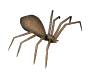 animated-spider-image-0118