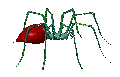 animated-spider-image-0120