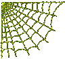 animated-spider-image-0135