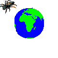 animated-spider-image-0163