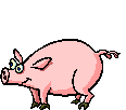 animated-pig-image-0020