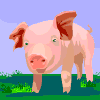 animated-pig-image-0162
