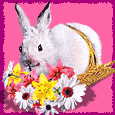 animated-easter-bunny-image-0097