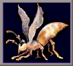 animated-insect-image-0003