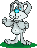 animated-rabbit-image-0065