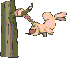animated-rabbit-image-0096