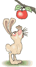 animated-rabbit-image-0097
