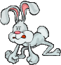 animated-rabbit-image-0124