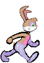 animated-rabbit-image-0133