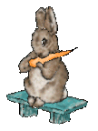 animated-rabbit-image-0137
