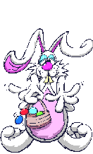 animated-rabbit-image-0155